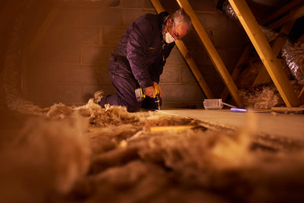 Best Basement Insulation  in Jacksonville, FL